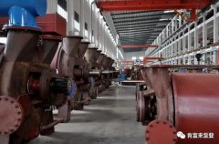 九游官方web站-JiuYou J9(中国)被评为2019年度三水区骨干企业